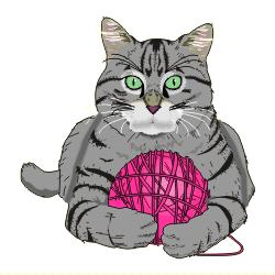 Katze
