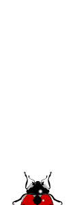maikäfer