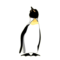 pinguin