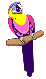 sittich