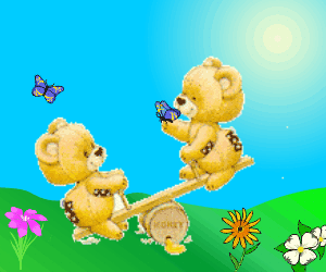 Teddies
