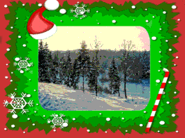 Weihnachtsbild
